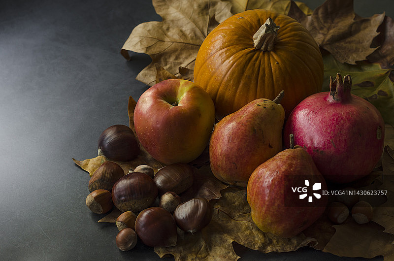 南瓜和秋叶与水果，栗子和榛子在黑色背景。收获时间。感恩节快乐。图片素材