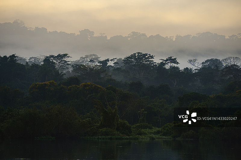 Guaporé-Itenez河雨林上一个雾蒙蒙的早晨图片素材