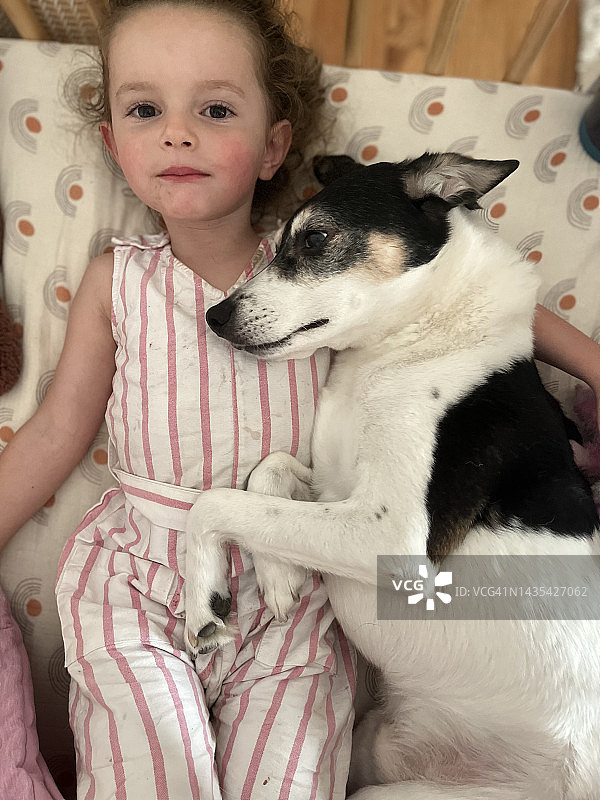 小女孩在床上抱着她的狗(狐狸梗)图片素材