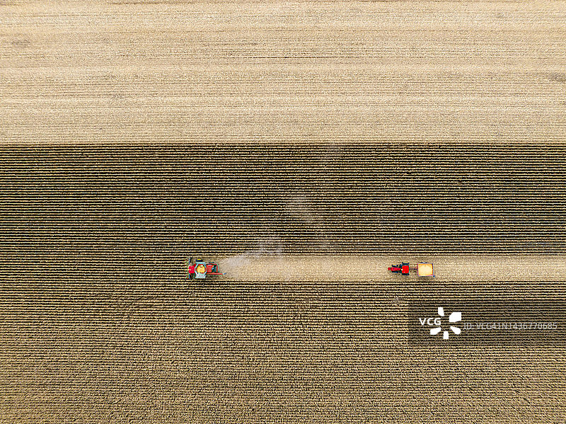 鸟瞰拖拉机和农业机械收割玉米田，魁北克，加拿大。图片素材