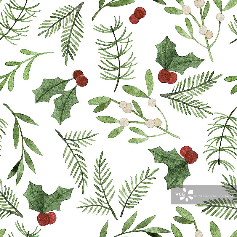 水彩绘画。无缝模式与圣诞植物。简单的冬季树叶和树枝，冬青，槲寄生，云杉。图片素材