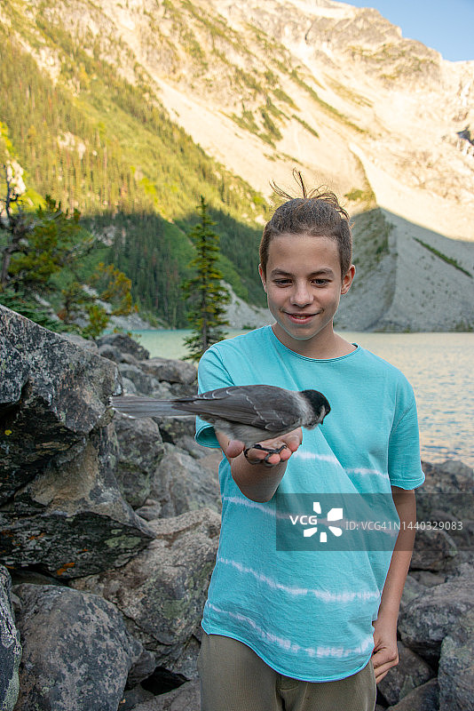 可爱的小鸟在一个男孩的掌心休息，背景是上乔佛里湖，加拿大不列颠哥伦比亚省立公园图片素材