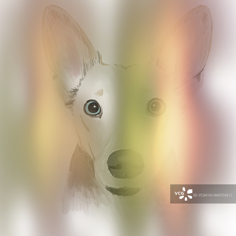 一个可爱的狗的肖像，通过一个明亮的魔法发光在白色的背景多颜色的眼睛图片素材