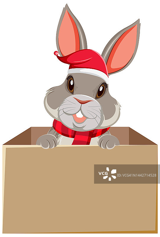 盒子里可爱的兔子图片素材