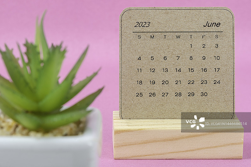 2023日历台:6月是组织者计划的一个月，最后期限是在粉色纸背景的室内植物。图片素材