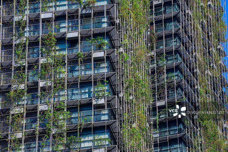 蓝天背景下的城市绿色生态建筑——城市可持续发展图片素材