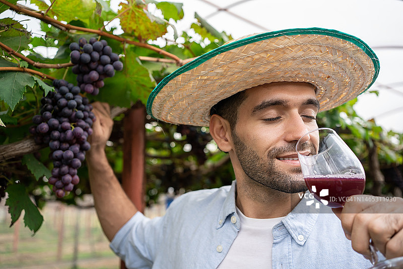微笑的成年西班牙酿酒师拿着一杯红酒在葡萄园里测试质量。用来酿酒的葡萄种植园。图片素材