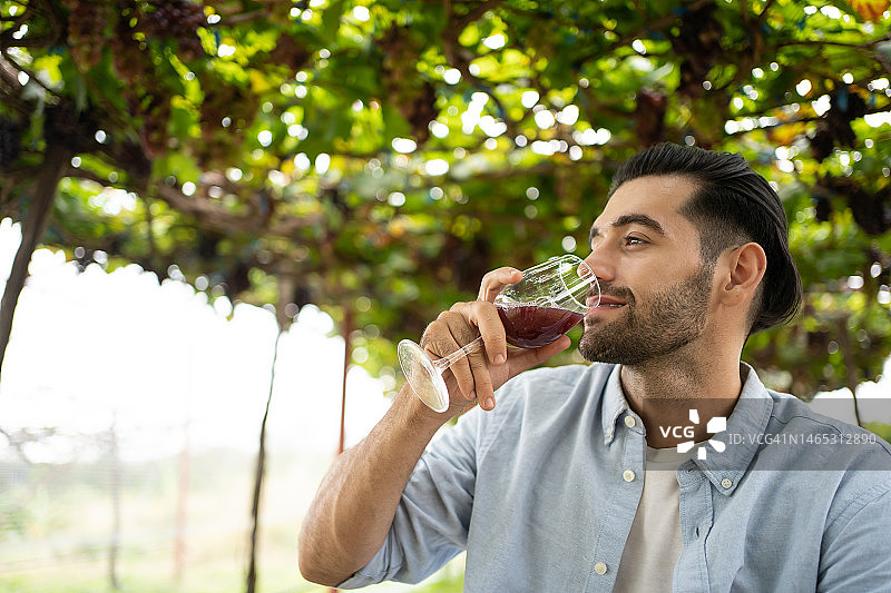 年轻快乐的西班牙人在葡萄地里品酒。快乐的有魅力的男性在葡萄园享受一杯葡萄酒。图片素材
