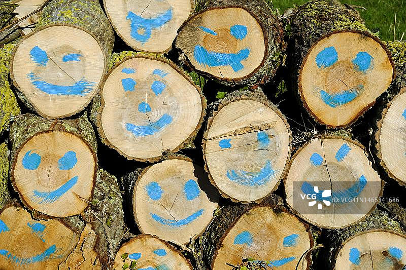 倒下的树干，硬木，画着笑脸，法国诺曼底图片素材