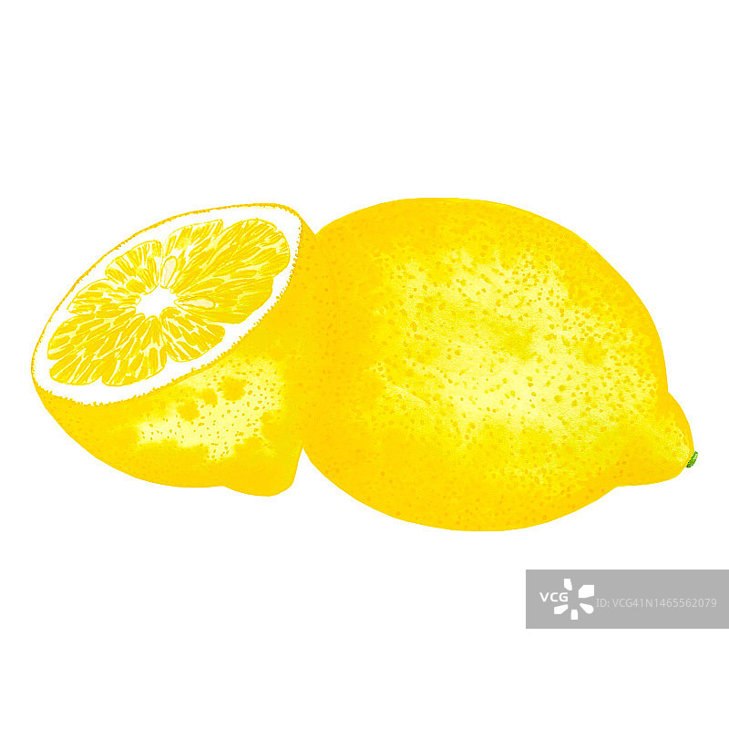 手绘水彩柠檬片孤立的白色背景。剪贴簿，明信片，横幅，标签。图片素材