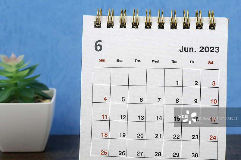 日历桌2023:六月是组织者计划和截止日期的月份，在蓝色纸背景下放置室内植物。图片素材