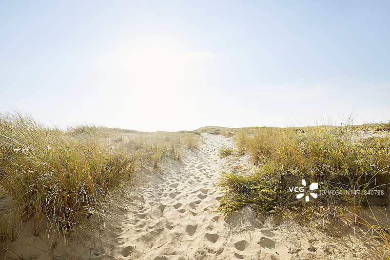 在夏天，田园诗般的小径穿过沙丘，通往海滩和大海图片素材