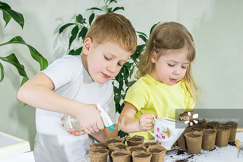 两个可爱的孩子在家里给刚刚种在环保花盆里的种子浇水图片素材