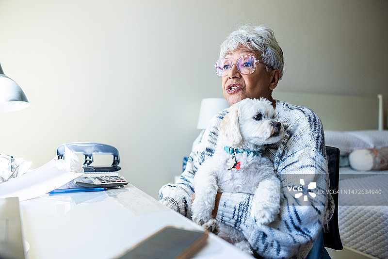 一位年长的女士和她的小狗坐在家里卧室的办公桌前图片素材