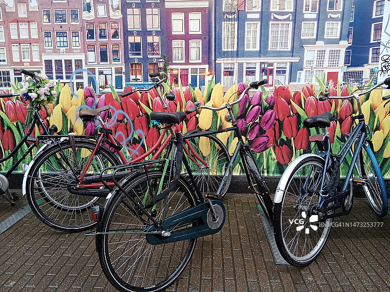 阿姆斯特丹街道上的自行车图片素材