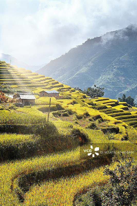 越南北部的美丽风景图片素材