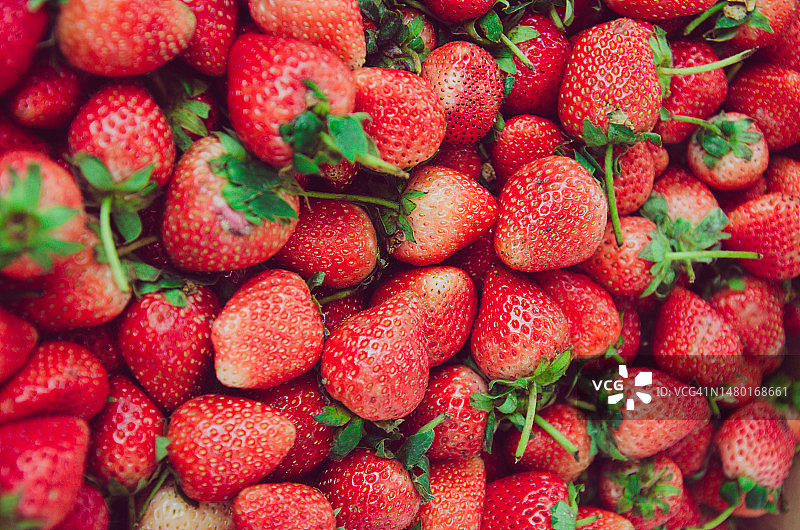 罗马尼亚草莓的全帧照片图片素材
