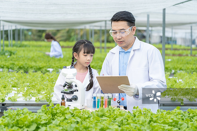 亚洲男女科学家在有机农场检查植物生长图片素材