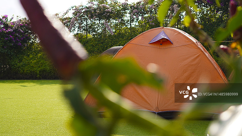 帐篷露营区，清晨，美丽的自然之地图片素材