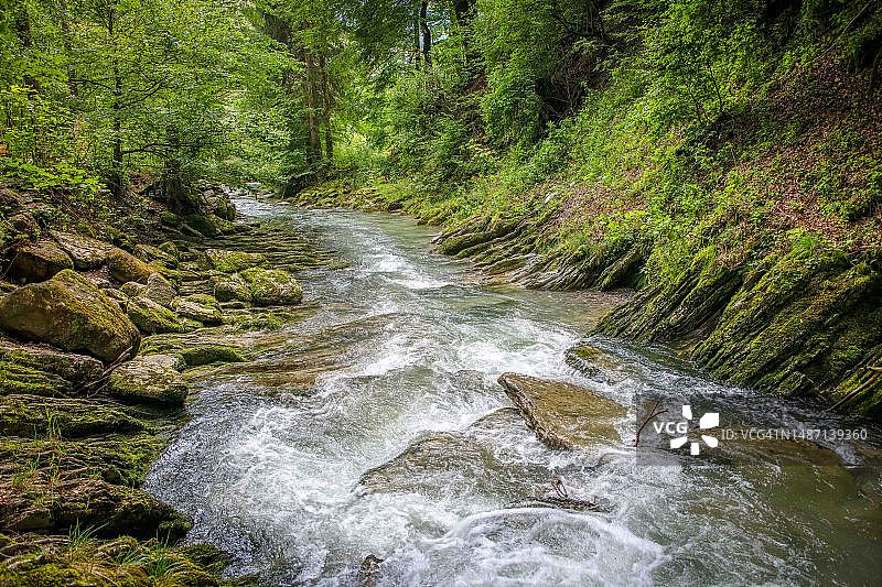 一条被绿树和长满苔藓的石头环绕的小溪图片素材