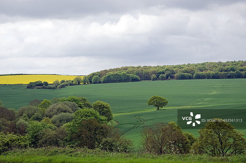 英国，天空映衬下的农田风景图片素材