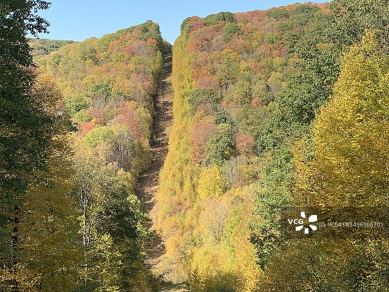 美国宾夕法尼亚州米尔斯通镇，秋天的天空映衬下的森林风景图片素材