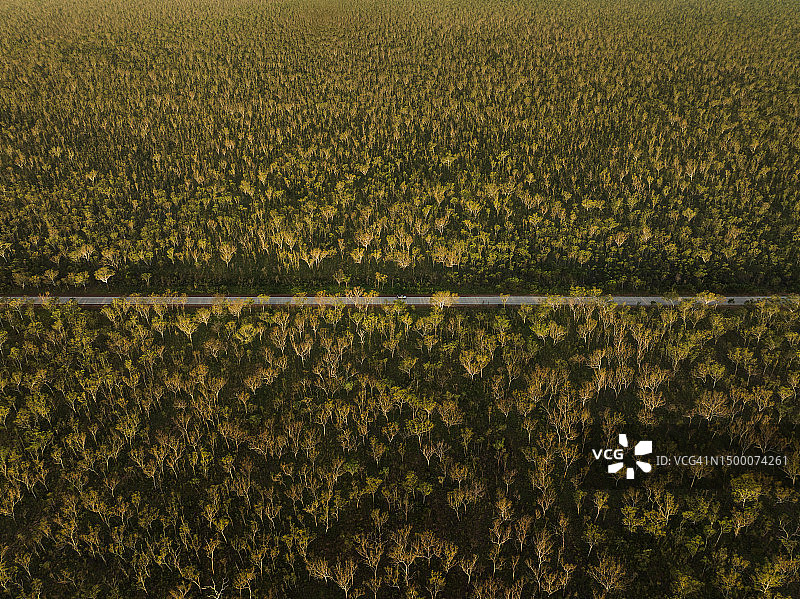 高角度图像显示了利维克角公路在潮湿季节穿过森林，丹皮尔半岛，澳大利亚，西澳大利亚图片素材