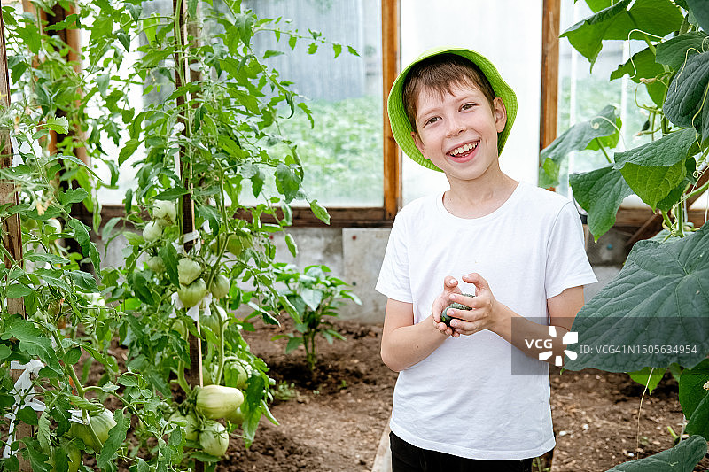 一名身穿白色t恤、头戴绿色巴拿马帽的11岁男孩站在温室里，手里拿着一根黄瓜，微笑着看着镜头图片素材