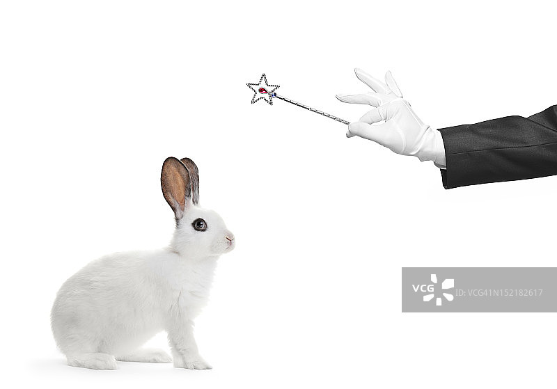 兔子和手拿着一根魔杖图片素材