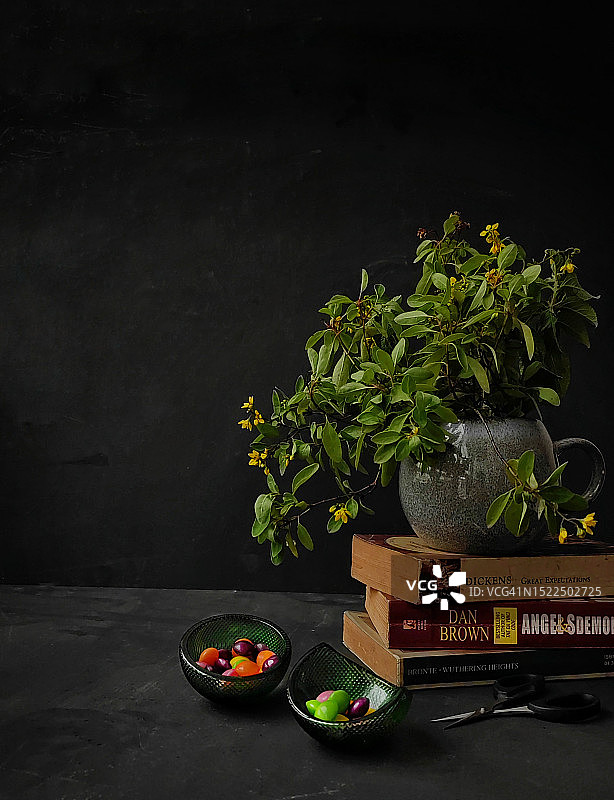 桌子上盆栽植物的高角度视图对黑色背景图片素材