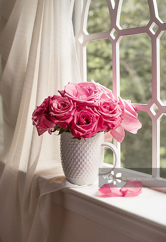 窗台上的玫瑰图片素材