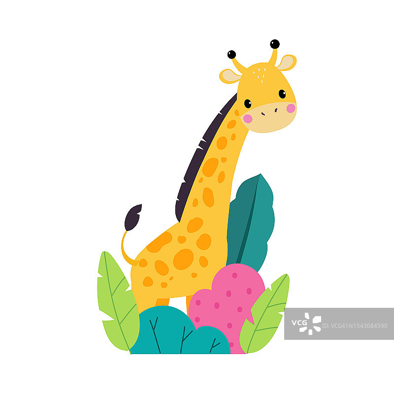 灌木丛里可爱的长颈鹿。可爱的非洲婴儿动物对自然卡通矢量插图图片素材