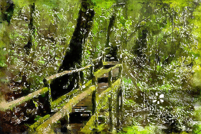 水彩画雨林在昂卡自然步道在Doi Inthanon国家公园，泰国图片素材