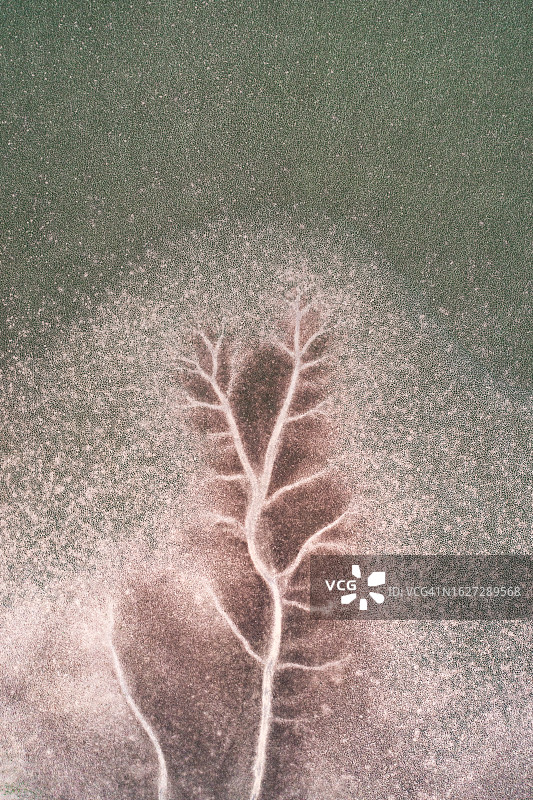 从无人机的角度拍摄的国王河支流，温德姆，西澳大利亚，澳大利亚图片素材