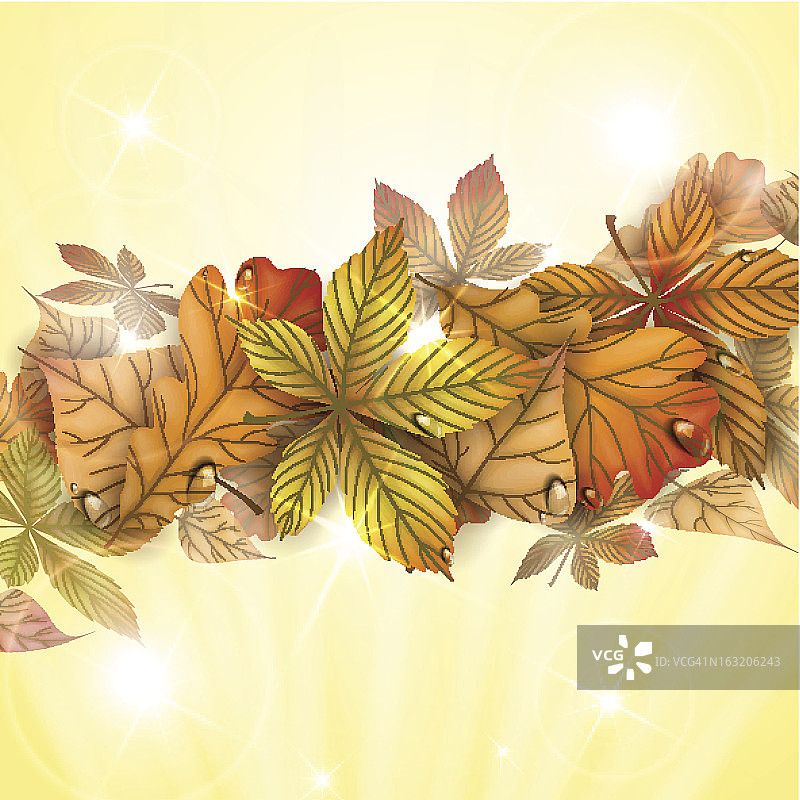 秋天的背景与树叶。图片素材