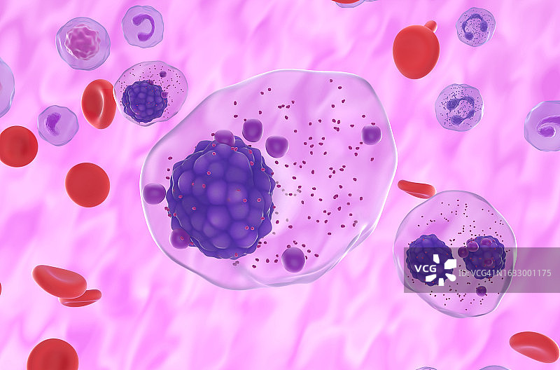 血流中的多发性骨髓瘤细胞-特写视图3d插图图片素材
