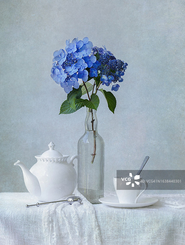 茶和绣球花图片素材