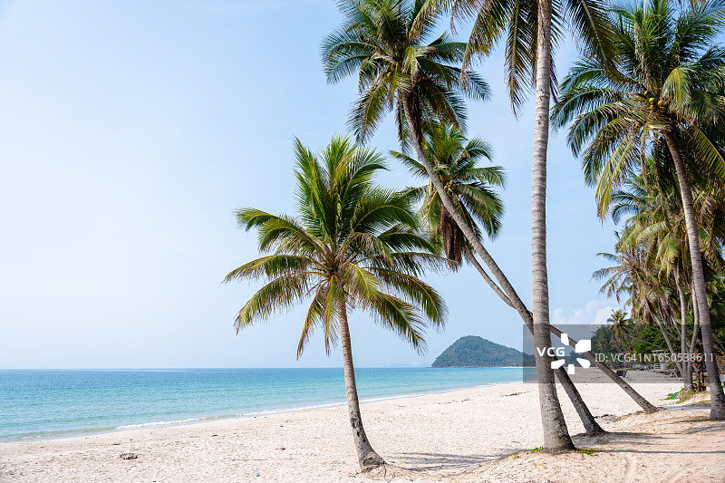 泰国春蓬省的椰子树海滩图片素材