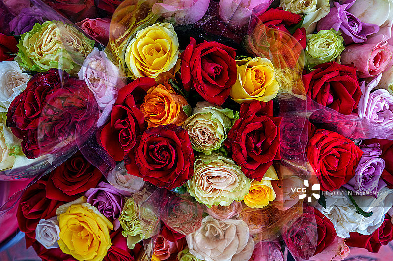 花卉市场玫瑰花束特写图片素材