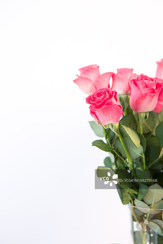 花瓶里有一束粉红色的玫瑰图片素材