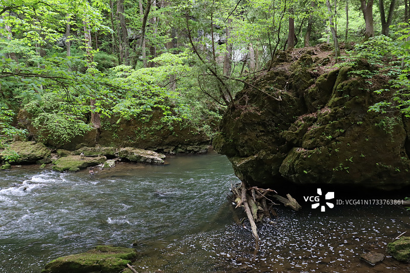 风景秀丽的河流在森林中的树木，俄亥俄州，美国，美国图片素材
