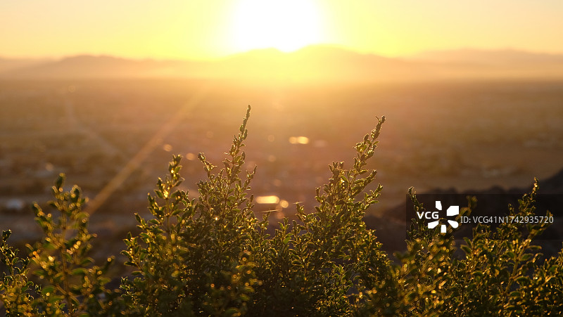 日落时分，美国内华达州拉斯维加斯的天空映衬着田野的美景图片素材