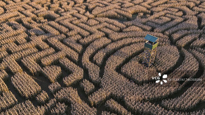 宾夕法尼亚州波科诺斯地区秋天日出时的万圣节玉米迷宫。图片素材
