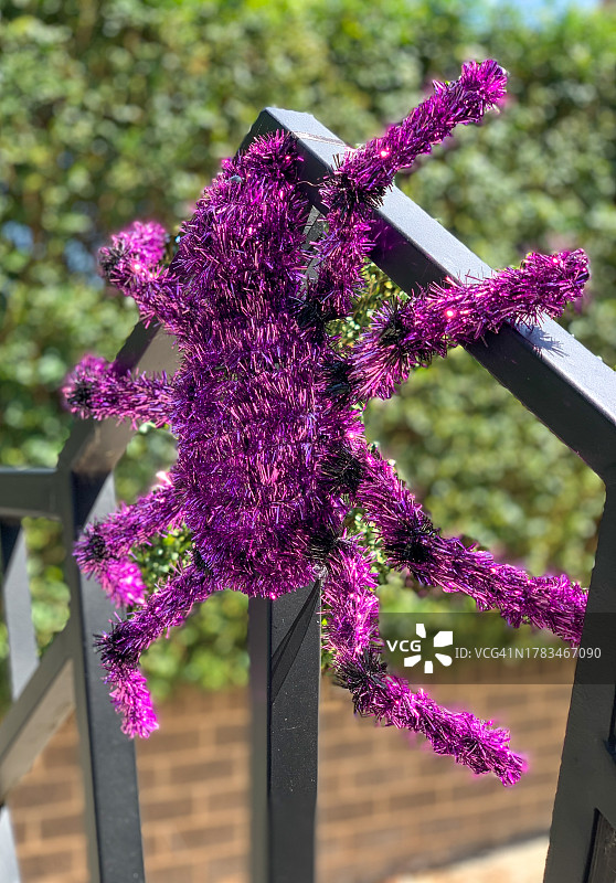闪闪发光的紫色蜘蛛图片素材