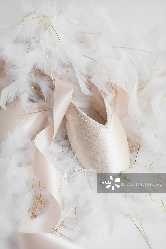 白天鹅芭蕾舞鞋图片素材