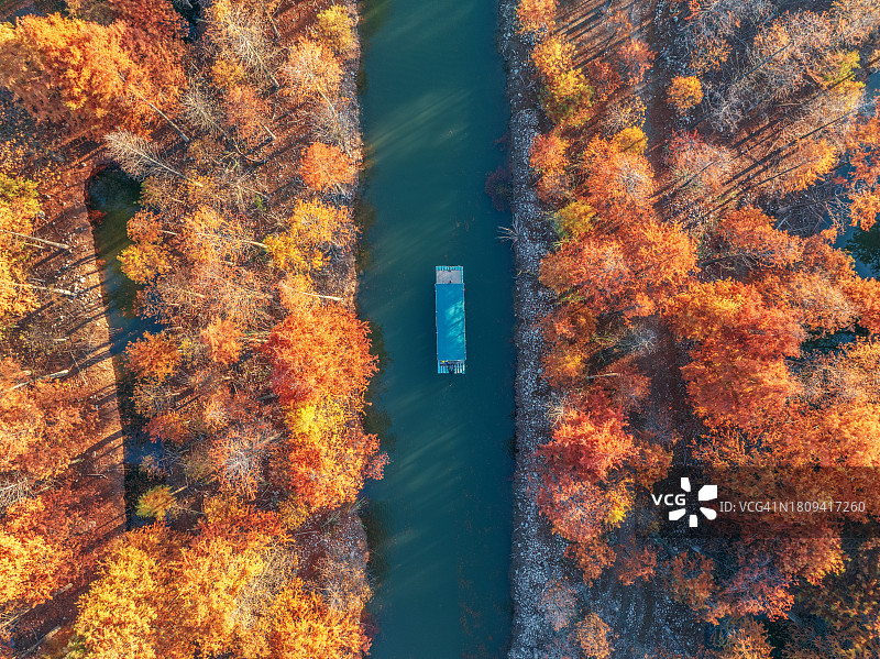 鸟瞰秋日江中的树木和船图片素材