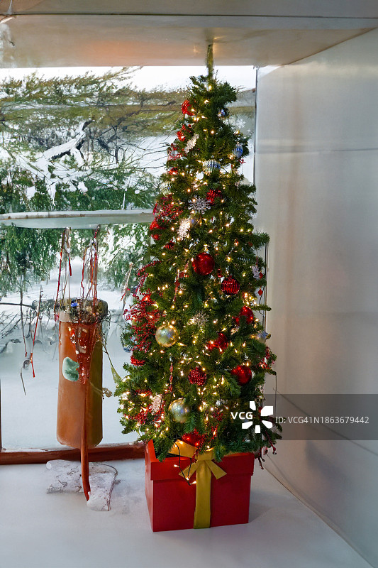 冬季仙境:白雪背景下的节日圣诞树图片素材