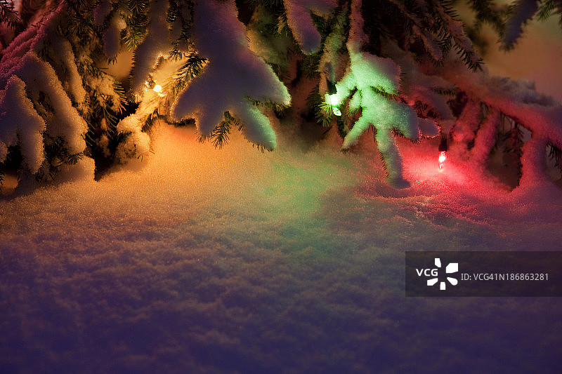 户外发光的圣诞树图片素材