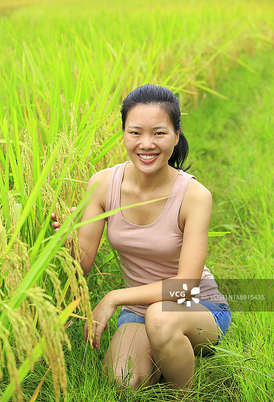 稻田里的女人图片素材