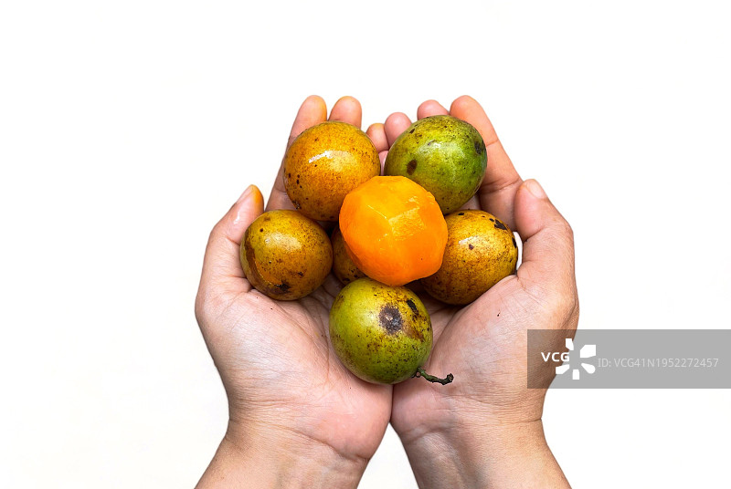 甘达利亚水果或芒果李子图片素材